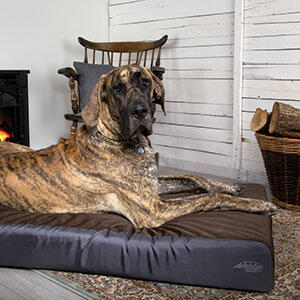Scruffs-ArmourDillo-Orthopaedic-Dog-Bed