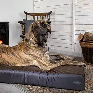 Scruffs ArmourDillo Orthopaedic Dog Bed