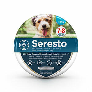 Seresto-Flea-and-Tick-Control-Small-Dog-Collar-