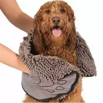 Shammy Dog Towel