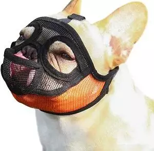Short Snout Dog Muzzle