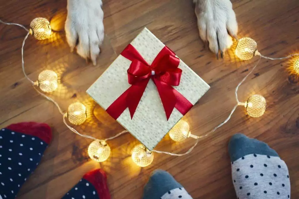 Should You Buy Your Pets Christmas Presents