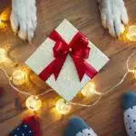 Should You Buy Your Pets Christmas Presents?