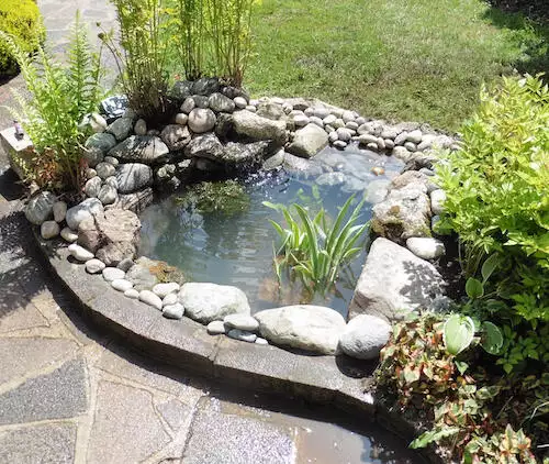 Small Pond Idea