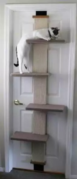 SmartCat Multi-Level Climber