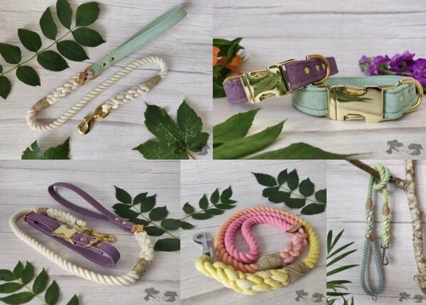 best eco-freindly dog collars and leads