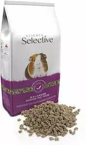 Science Selective Guinea Pig