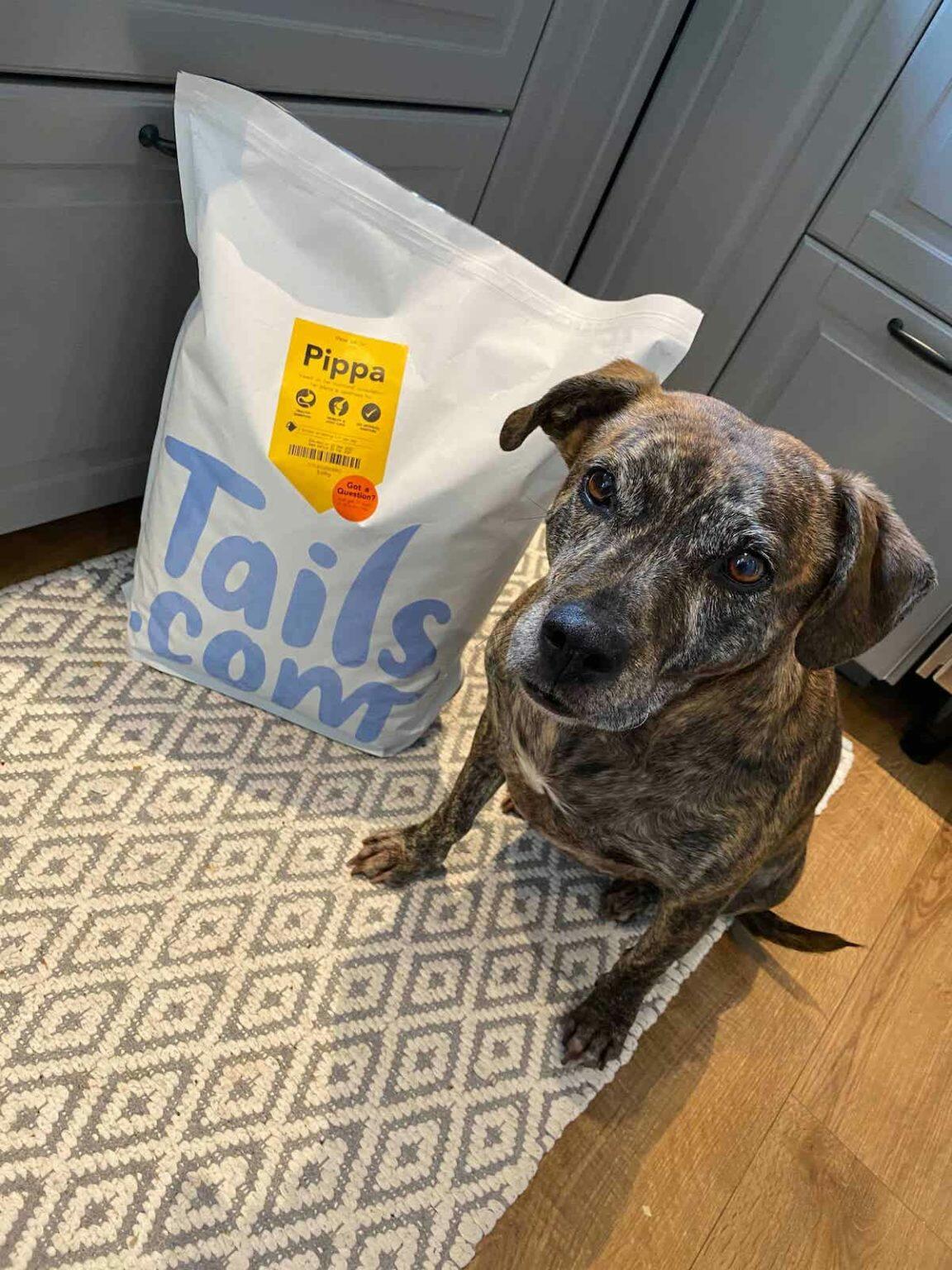 Review The Tailored Dog Food Delivered To Your Door Petz