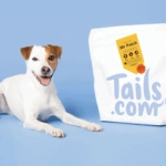 Tails.com Review: The Tailored Dog Food Delivered To Your Door