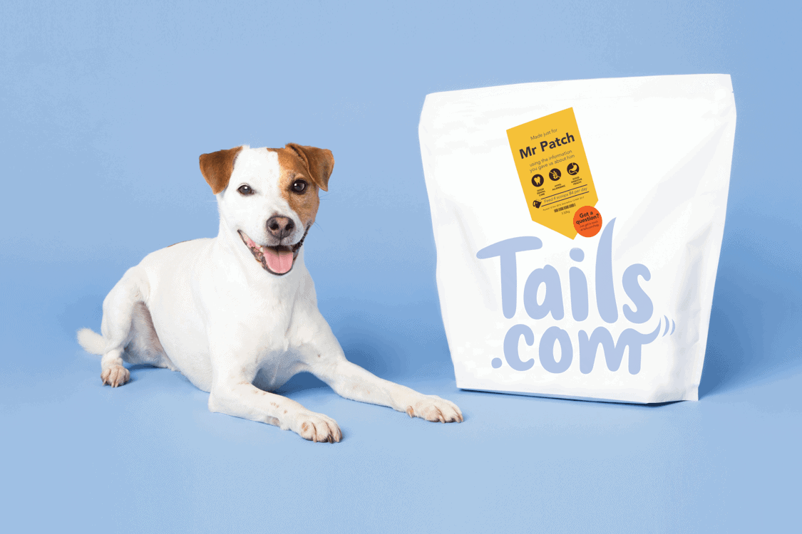 Review The Tailored Dog Food Delivered To Your Door Petz