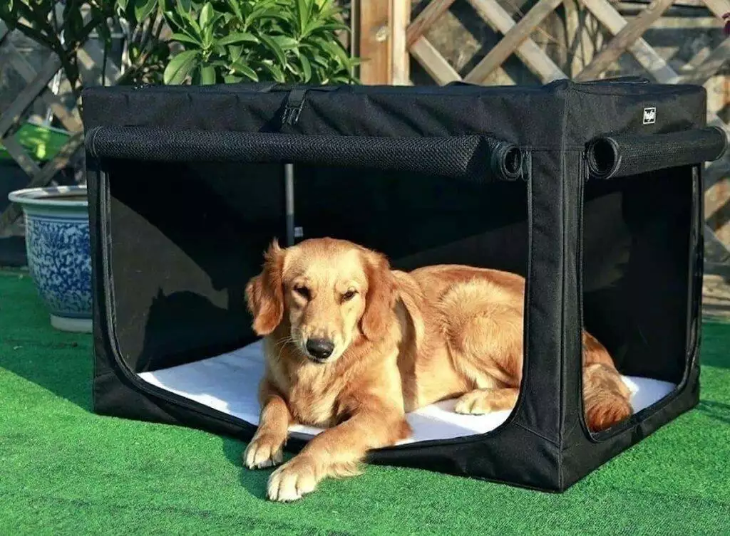 soft dog crates reviewed