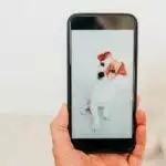 The Rise Of Pet Technology