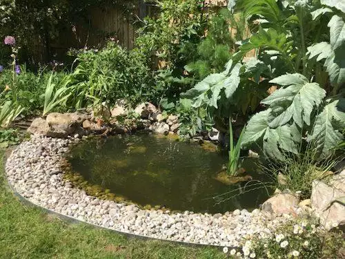 The Small Gardener Pond Idea