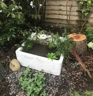 The Wise House Pond Old Sink Idea