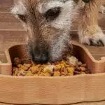 Small Business Spotlight: The Wood Life Project