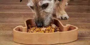 Small Business Spotlight: The Wood Life Project