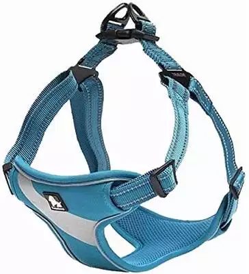 True Love Step In Harness