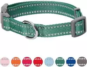 Umi. by Amazon Pastel Color Reflective Dog Collar