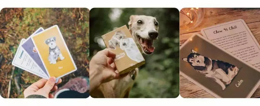 Enrichment games for dogs