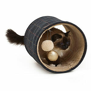 Wainwrights-Perfect-for-Cats-Tunnel-with-Pheasant-Feather-Cat-Toy