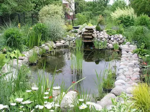 Water Garden Inspiration