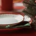 Dog Safe Christmas Dinners: What Dogs Can and Can’t Eat
