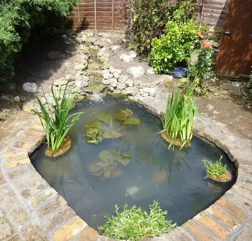 Women With Waders Small Pond Inspiration