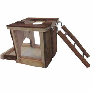 Woodlands Acorn Burrow Box