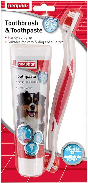 Beaphar Toothbrush and Toothpaste Kit