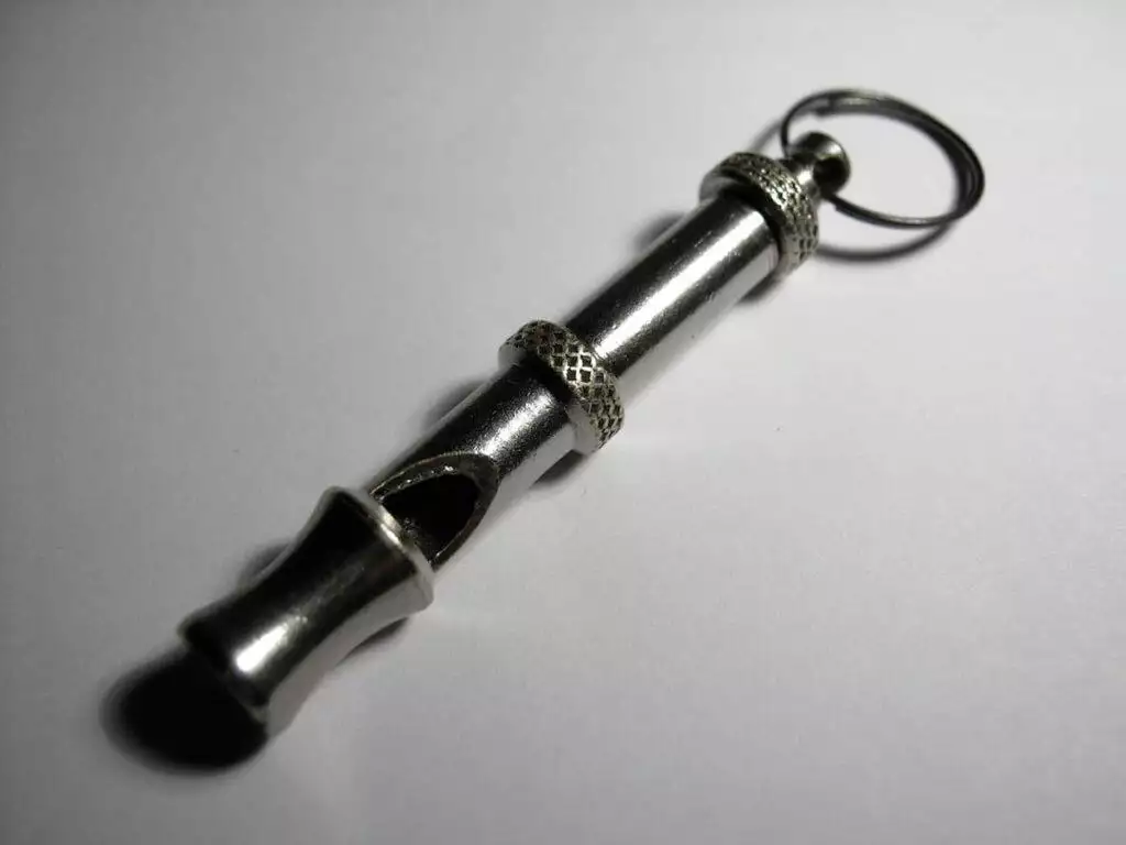 best dog whistle