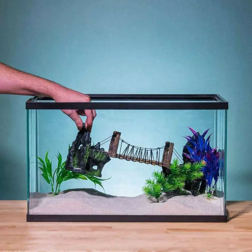best aquarium ornament