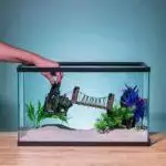 Fish Tank Ornaments