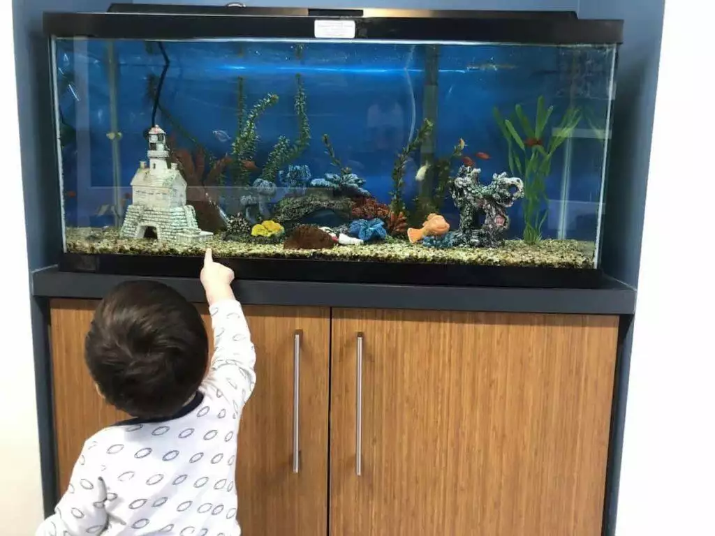 best aquarium stand