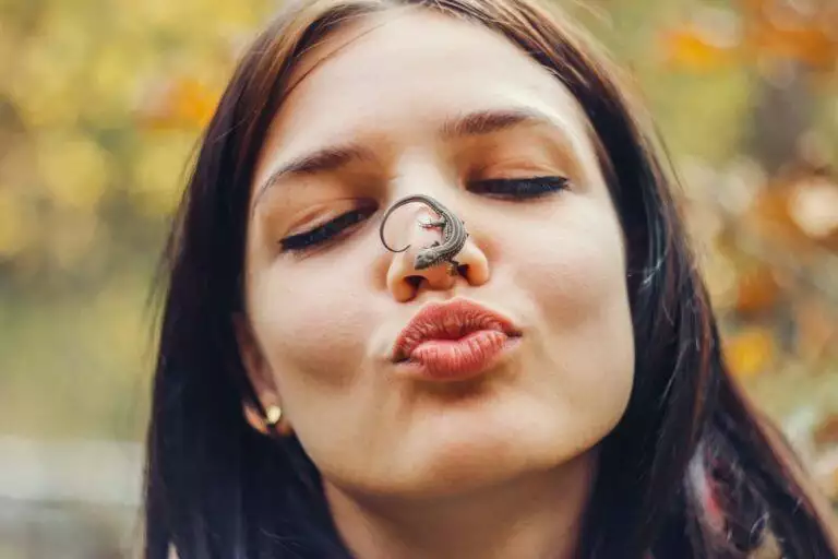 best presents for reptile owners