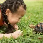 Gifts For Tortoise & Turtle Lovers