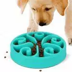 Best Slow Feeder Dog Bowls UK 2026: Anti-Gulp & Enrichment Reviews
