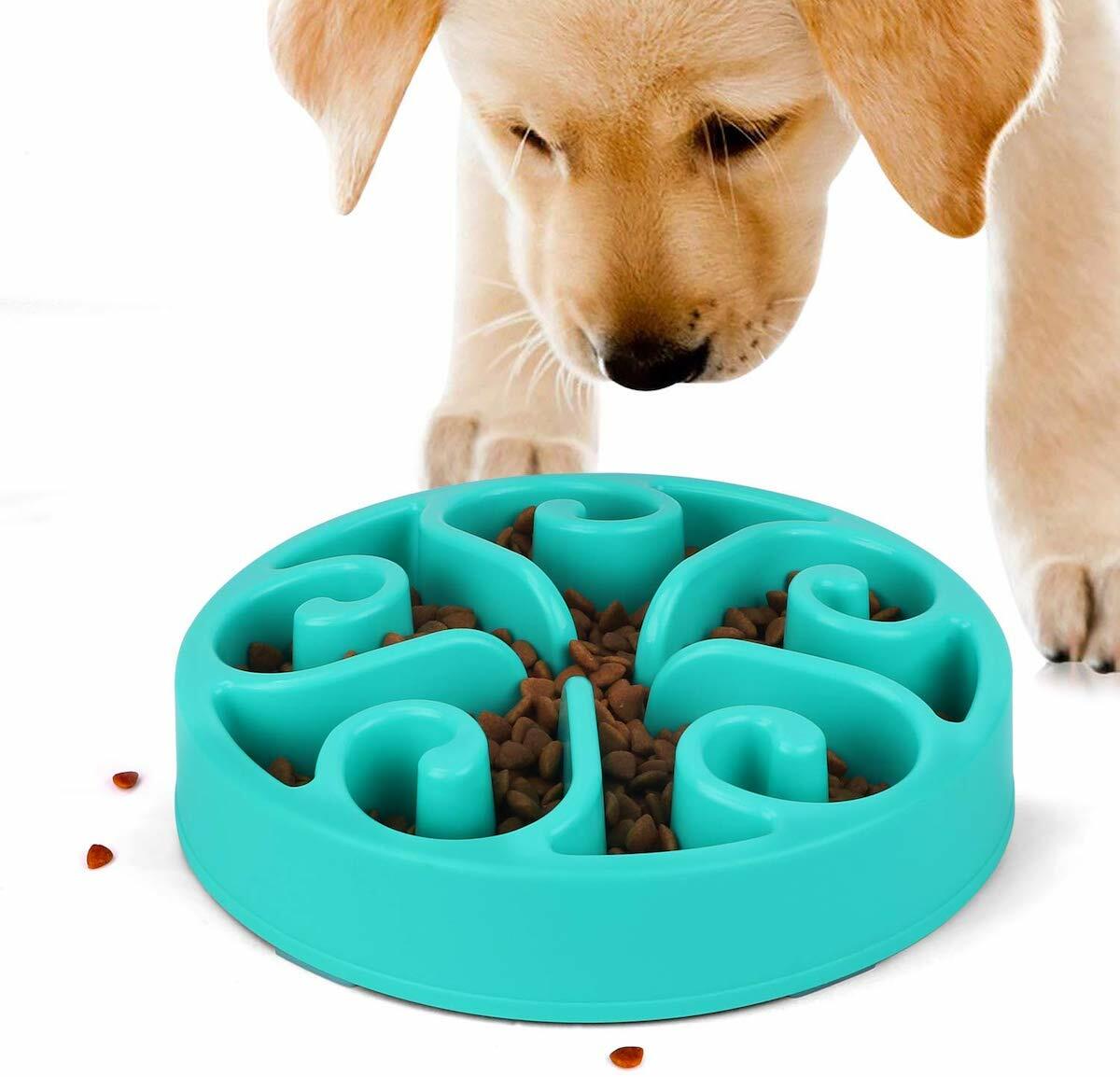 Best Slow Feeder Dog Bowls Reviewed for 2022 Petz