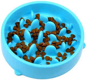 H&S Slow Eating Dog Bowl