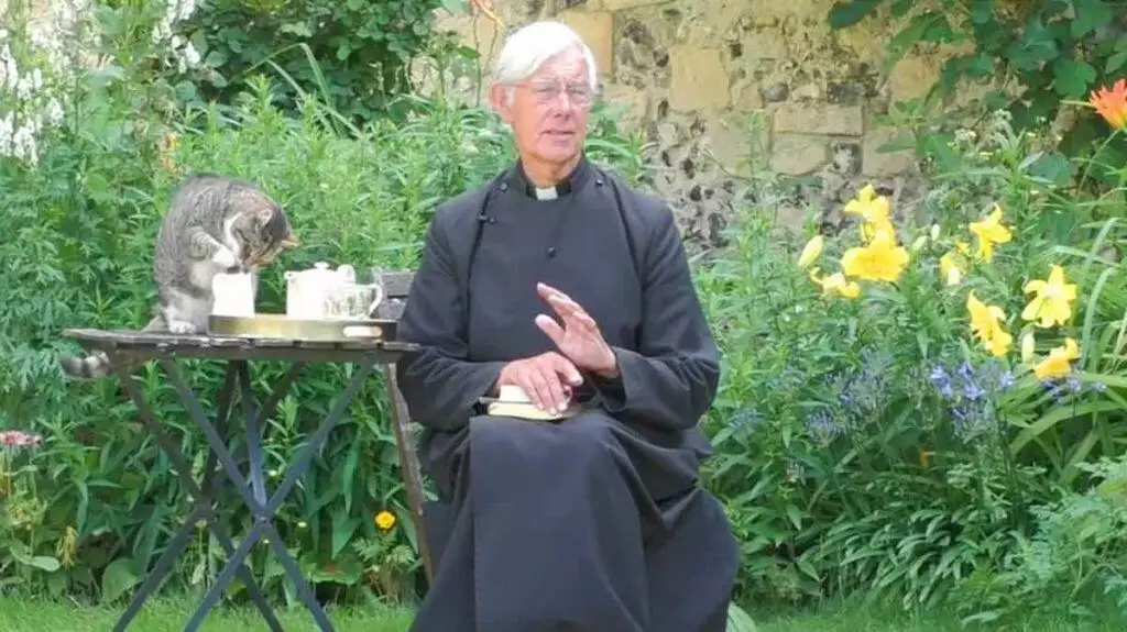 best pet videos of the month july