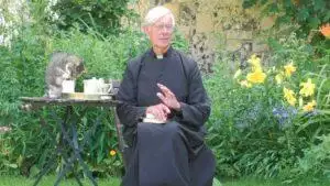 best pet videos of the month july