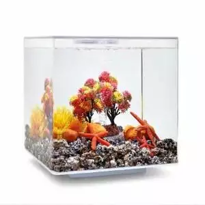 BiOrb Autumn Aquarium Ornament Decor Set 15L 