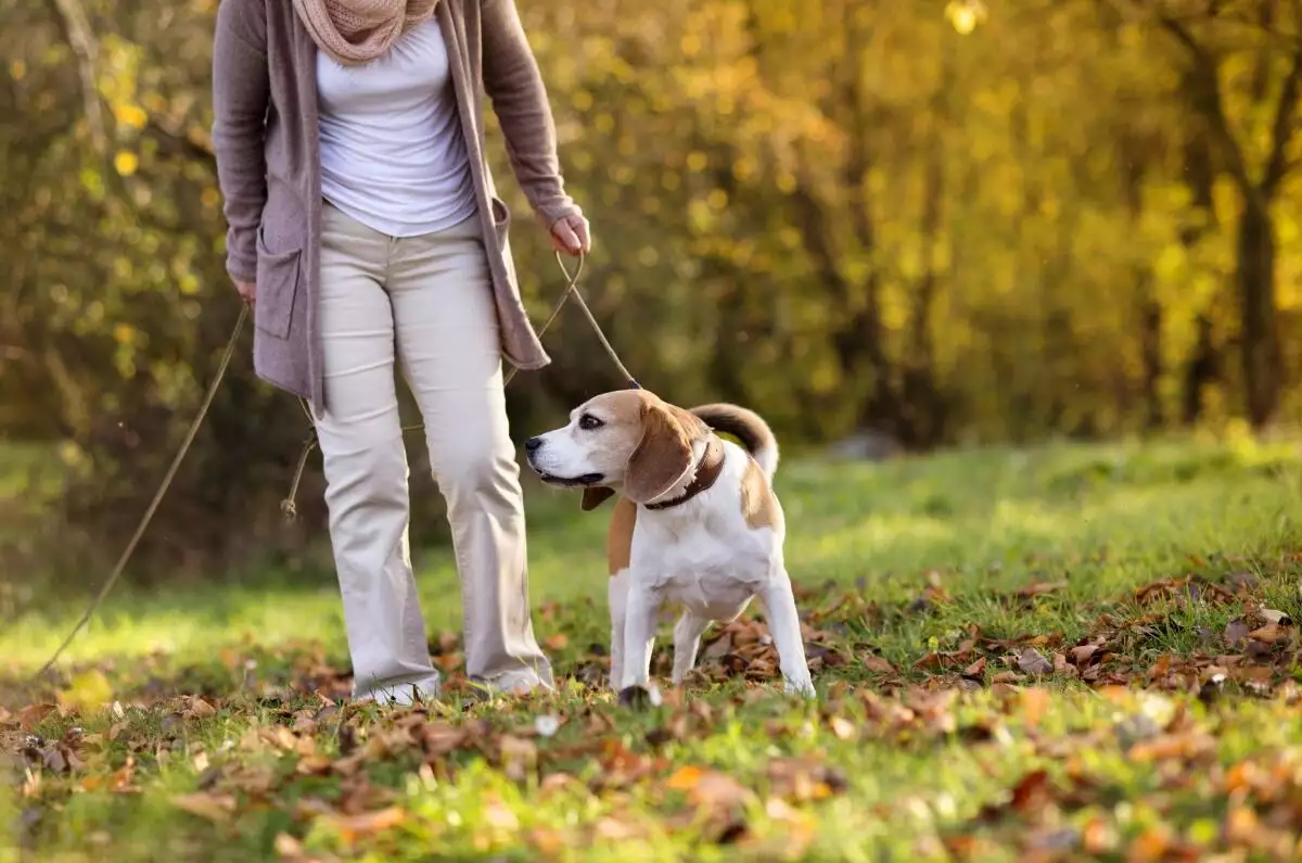 do you have time to spend with your dog