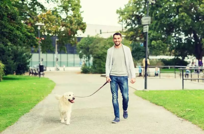 what if i cant walk my dog during lockdown?