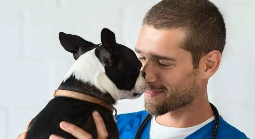 Choosing A Vet For Your Puppy