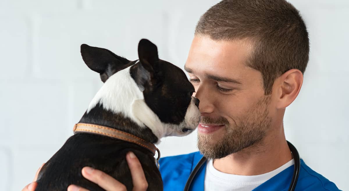 How To Choose a Vet For Your Puppy Petz
