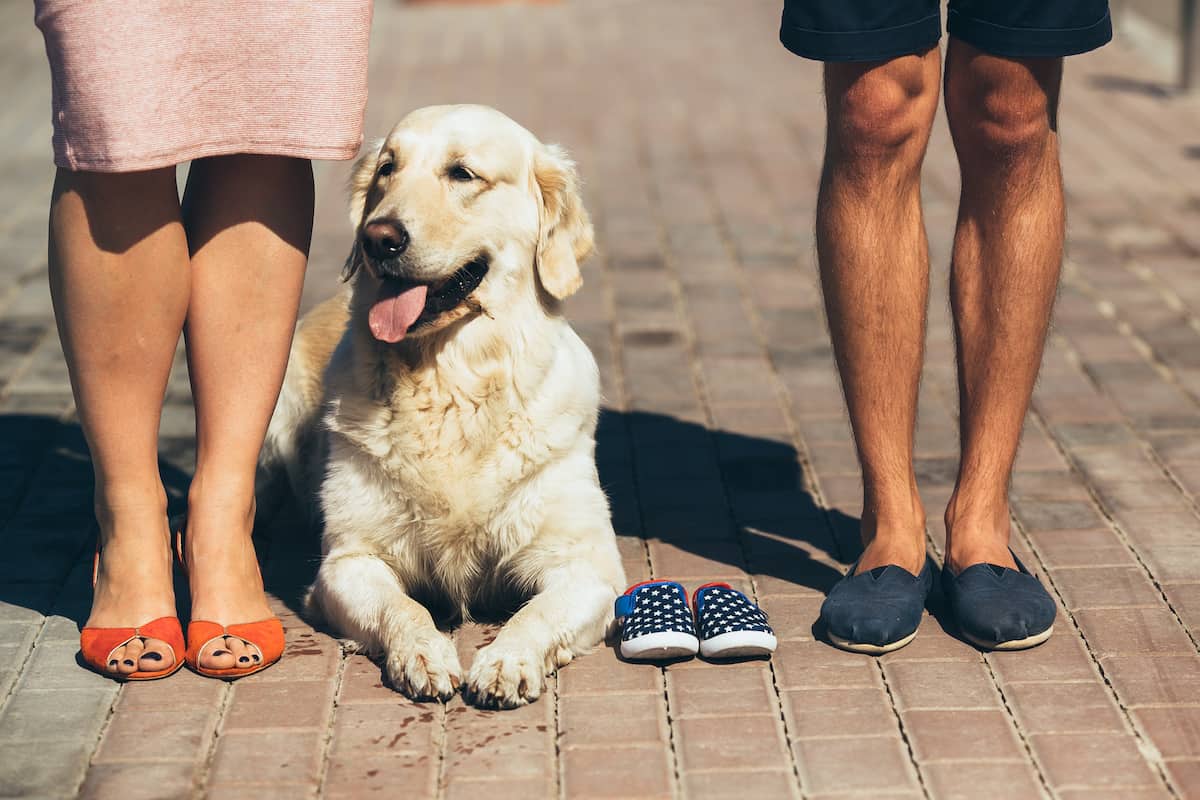 Closeup of female and male feet in casual shoes PY4E2R5 2