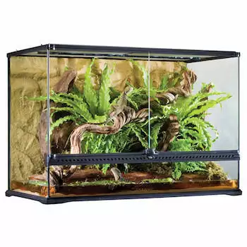 Exo Terra Glass Natural Terrarium