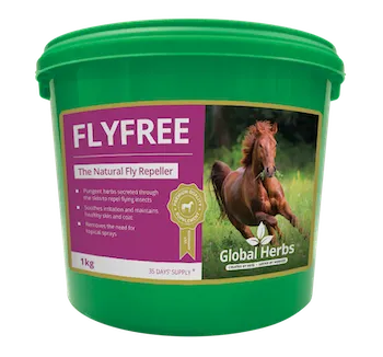 Global Herbs Flyfree For Horses