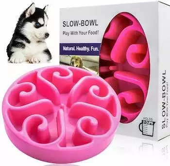 GreeSuit Pet Dog Bowl Slow Feeder