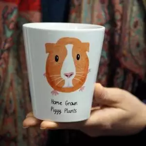 Guinea Pig Plant Pot
